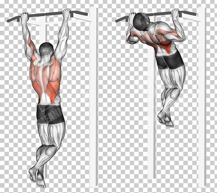 Shoulder Physical Fitness Hip Weight Training Knee PNG, Clipart, Abdomen, Arm, Back, Bodybuilding, Exercise Free PNG Download