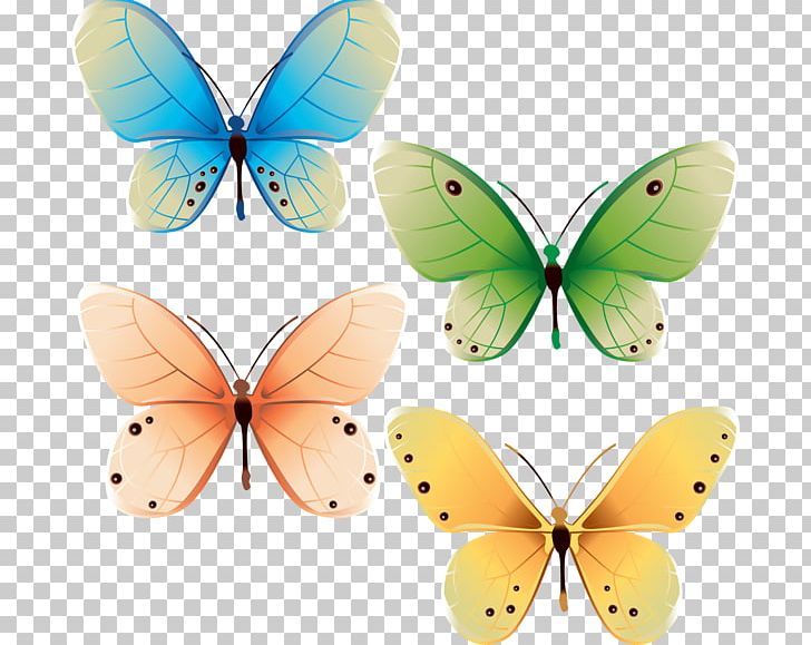 Butterfly Graphics Graphic Design PNG, Clipart, Art, Arthropod, Brush Footed Butterfly, Butterflies And Moths, Butterfly Free PNG Download