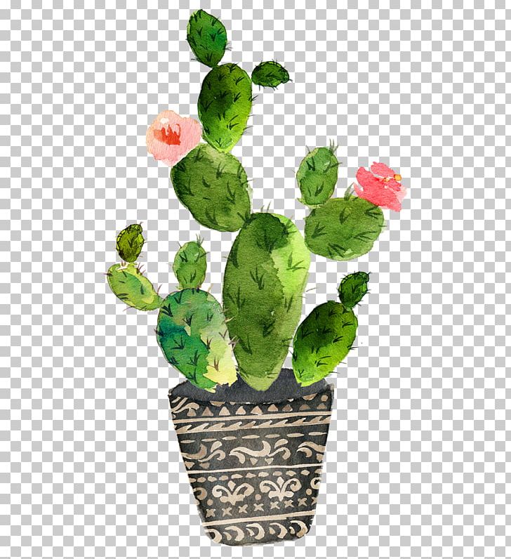 Cactaceae Watercolor Painting Prickly Pear Art PNG, Clipart, Barbary Fig, Cactaceae, Cactus, Cactus Garden, Canvas Free PNG Download