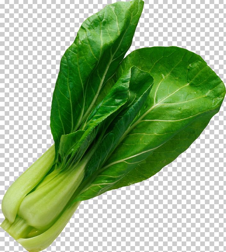 Chinese Cabbage Bok Choy Vegetarian Cuisine Vegetable Soup PNG, Clipart, Cabbage, Chard, Choy Sum, Collard Greens, Computer Icons Free PNG Download