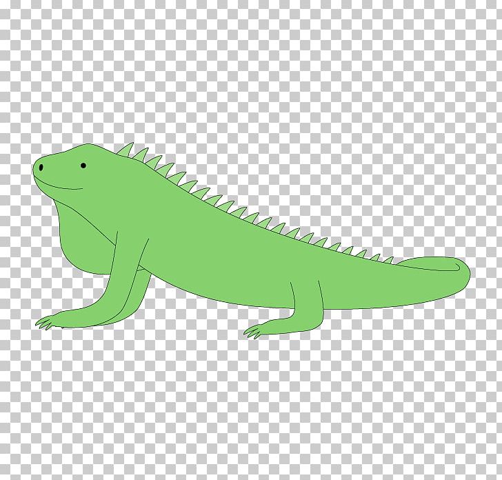 Common Iguanas Illustration Amphibians Fauna PNG, Clipart, Amphibian, Amphibians, Animal, Animal Figure, Common Iguanas Free PNG Download