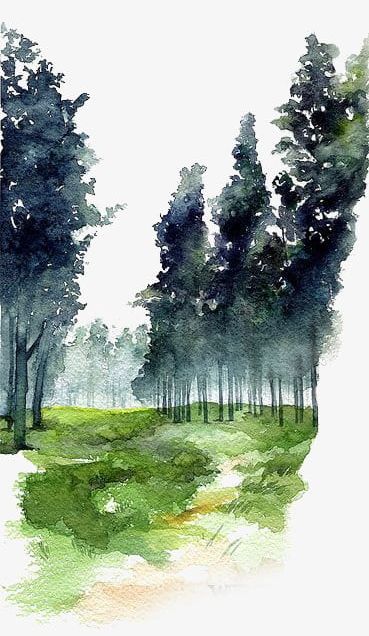 Watercolor PNG, Clipart, Drawing, Drawing Trees, Forest, Fresh, Fresh Literature Free PNG Download