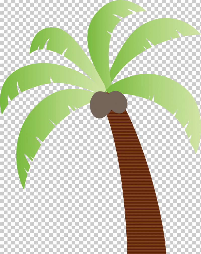 Coconut PNG, Clipart, Beach, Biology, Cartoon Tree, Coconut, Flowerpot Free PNG Download