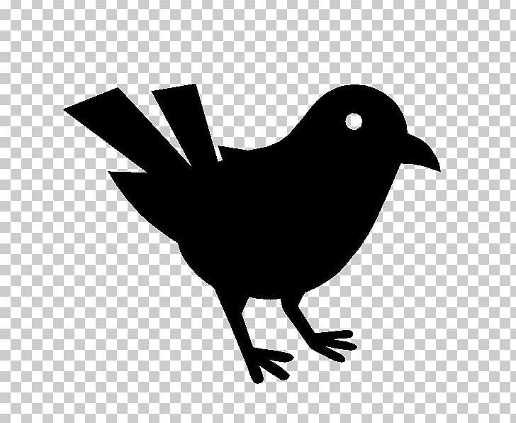 Bird Beak Shape PNG, Clipart, Animals, Beak, Bird, Black And White, Computer Icons Free PNG Download