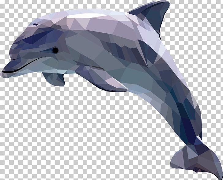 Dolphin Art Drawing PNG, Clipart, Animals, Art, Art Museum, Camilla, Cetacea Free PNG Download