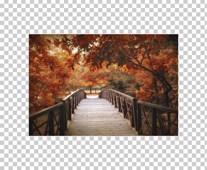 Online Art Gallery Painting Landscape PNG, Clipart, Architecture, Art, Autumn, Bayou, Decorative Arts Free PNG Download