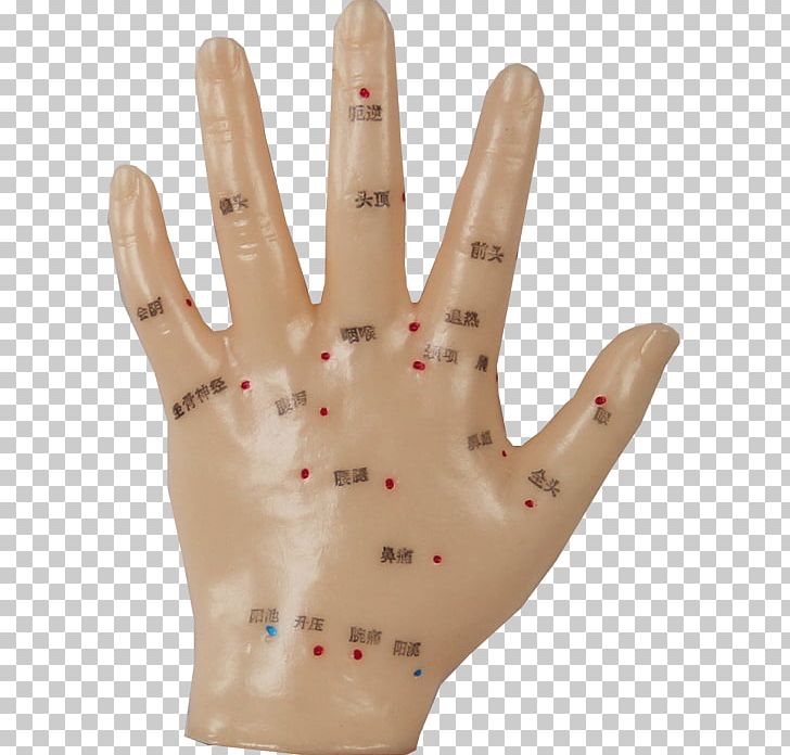 Thumb Hand Model Glove PNG, Clipart, Acupuncture, Finger, Glove, Hand, Hand Model Free PNG Download