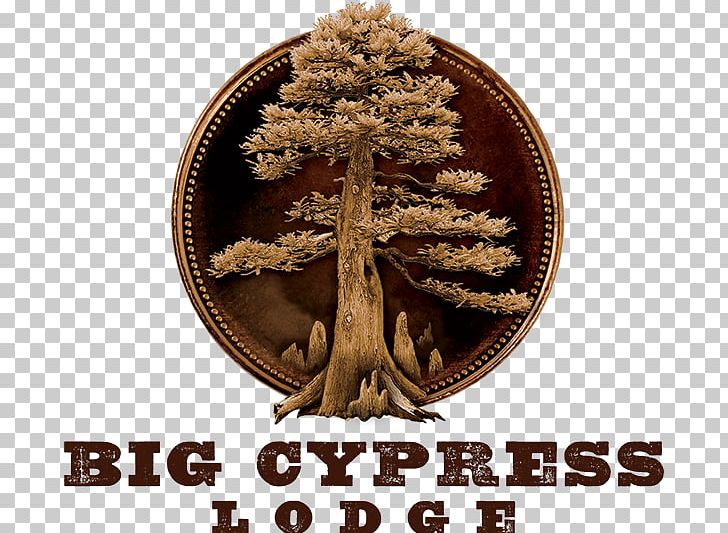 Big Cypress Lodge Accommodation Hotel Branson Bass Pro Drive PNG, Clipart,  Free PNG Download