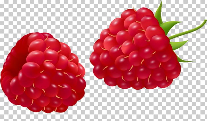 Red Raspberry Auglis Cartoon PNG, Clipart, Cherry, Comics, Currant, Food, Fruit Free PNG Download