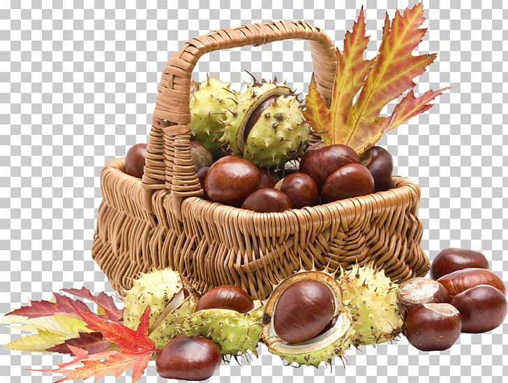 Table Basket Chestnut Light Photography PNG, Clipart, Acorn, Autumn, Basket, Chestnut, Chocolate Free PNG Download