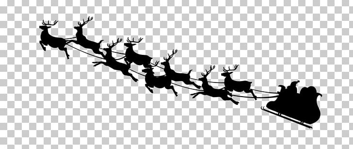 Santa Claus Reindeer Christmas PNG, Clipart, 1080p, Animals, Black, Branch, Christmas Decoration Free PNG Download