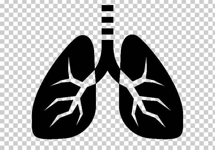 Tai Lung Computer Icons Human Body Breathing PNG, Clipart, Anatomy, Biology, Black And White, Breathing, Circulatory System Free PNG Download