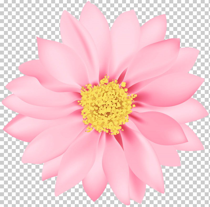 Artificial Flower PNG, Clipart, Annual Plant, Artificial Flower, Aster, Asterales, Barberton Daisy Free PNG Download