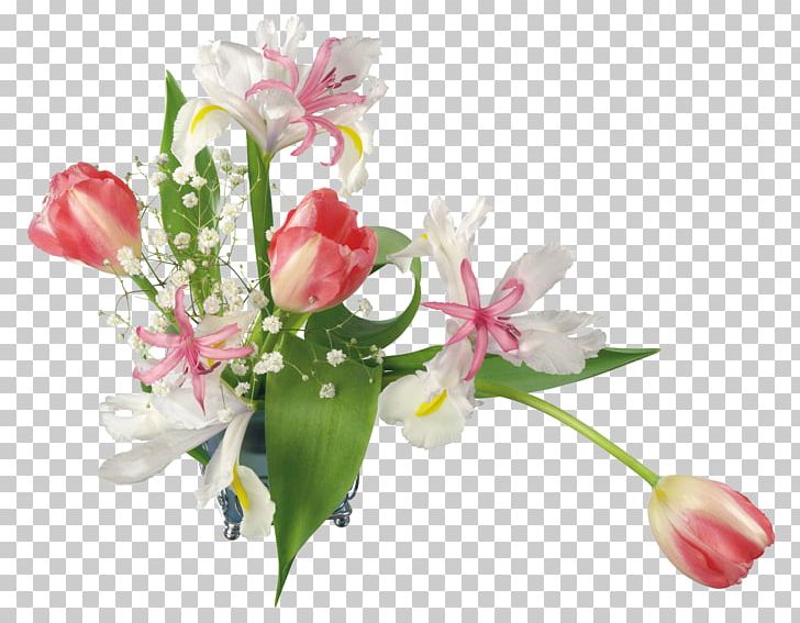 Blog Desktop PNG, Clipart, Animaatio, Birthday, Blog, Computer Animation, Cut Flowers Free PNG Download