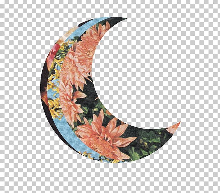 New Moon Lunar Phase Flower PNG, Clipart, Crescent, Desktop Wallpaper, Flower, Galaxy, Leaf Free PNG Download