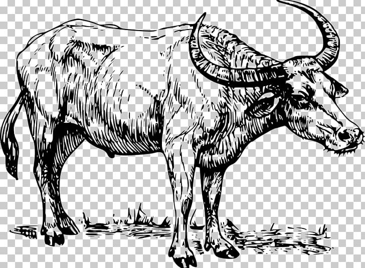 Mammal Presentation Cow Goat Family PNG, Clipart, Animal Figure, Art, Black And White, Buffalo, Cow Goat Family Free PNG Download