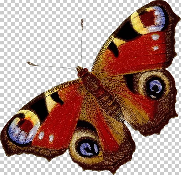 Butterfly Insect Aglais Io Peafowl Nymphalidae PNG, Clipart, Aglais Io, Arthropod, Asiatic Peafowl, Brush Footed Butterfly, Butterflies And Moths Free PNG Download