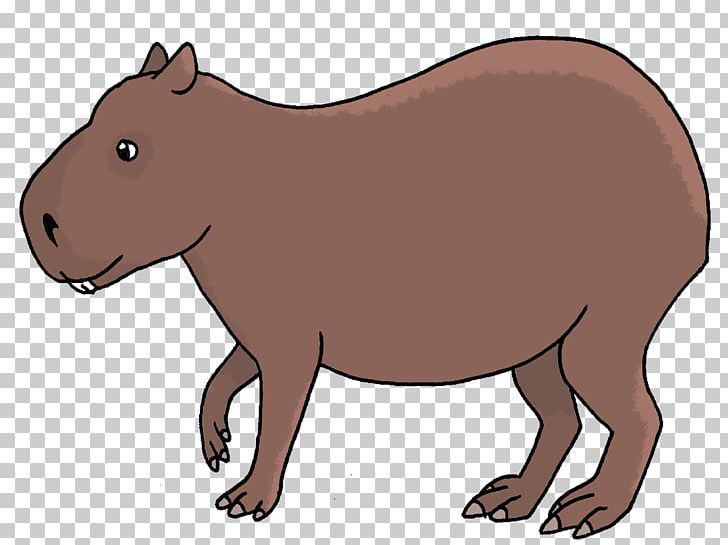 Capybara Bear Wombat Scientist Drawing PNG, Clipart, Animal, Animal Figure, Animals, Bear, Beaver Free PNG Download
