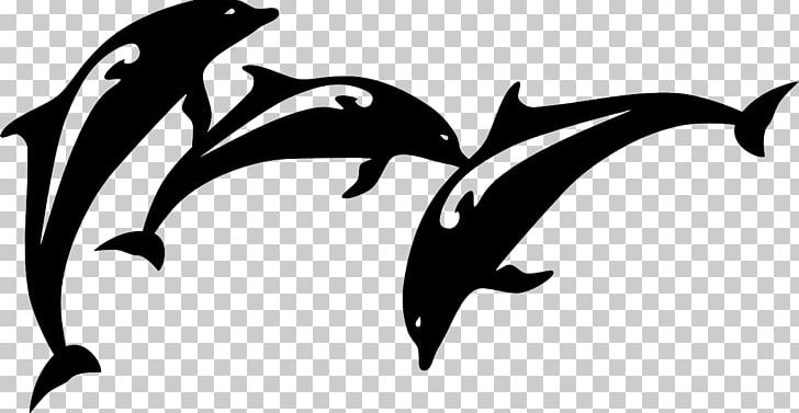 Spinner Dolphin Wall Decal Sticker PNG, Clipart, Animals, Artwork, Beak, Bird, Black And White Free PNG Download