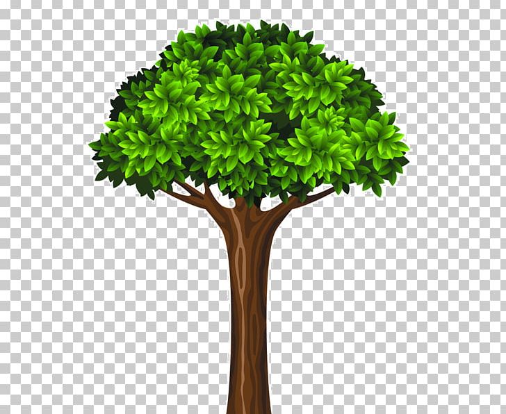 Tree Green PNG, Clipart, Arbre, Cartoon, Color, Flowerpot, Grass Free ...