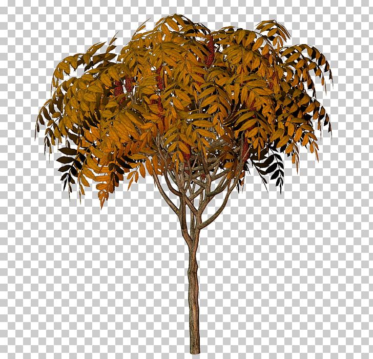 Twig Plant Stem Leaf Flowerpot PNG, Clipart, Branch, Flowerpot, Leaf, Plant, Plant Stem Free PNG Download