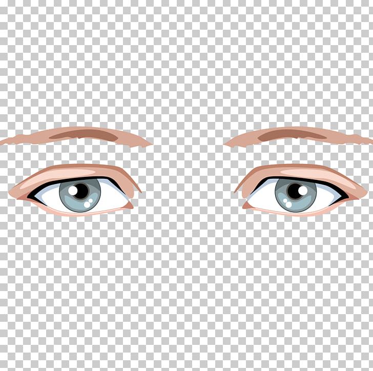 Eyebrow Human Eye PNG, Clipart, Chin, Color, Color Pencil, Color Powder, Color Splash Free PNG Download