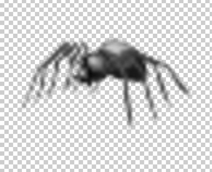 Insect Arachnid Technology Pest PNG, Clipart, Animals, Anti Virus, Arachnid, Arthropod, Beetle Bug Free PNG Download
