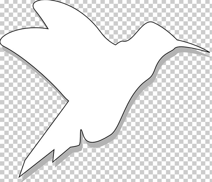 Line Art Black And White Drawing PNG, Clipart, Angle, Area, Art, Artwork, Beak Free PNG Download