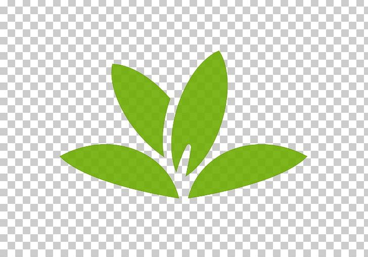 Plant Identification Android Google Play PNG, Clipart, Android, Apk, App, App Store, Botany Free PNG Download