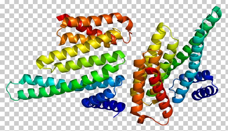 14-3-3 Protein YWHAB Ribosomal S6 Kinase Nucleosome PNG, Clipart, 2 C, 1433 Protein, C 23, Dnk, Encyclopedia Free PNG Download