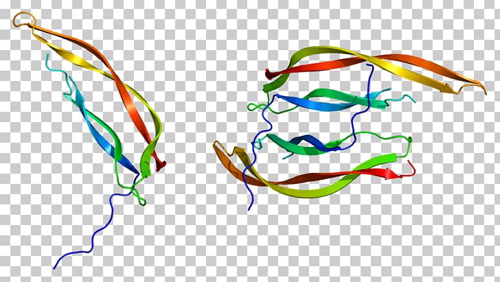 Platelet-derived Growth Factor Receptor PDGFB PDGFA Gene PNG, Clipart, Cell, Crystal Structure, Factor, Gene, Growth Free PNG Download