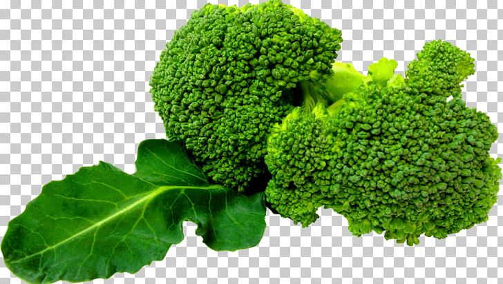 Broccoli Portable Network Graphics Transparency Vegetable PNG, Clipart, Broccoli, Brocoli, Carlos Pena, Cauliflower, Chinese Broccoli Free PNG Download