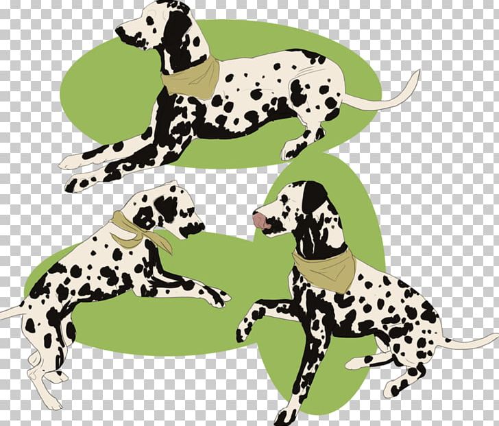 Dalmatian Dog Dog Breed Non-sporting Group PNG, Clipart, Breed, Carnivoran, Dalmatian, Dalmatian Dog, Dog Free PNG Download