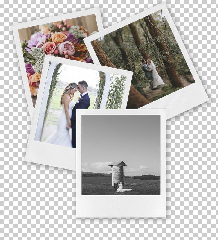 Printing Photographic Paper Printer PNG, Clipart, Collage, Email, Facebook, Instant Camera, Others Free PNG Download