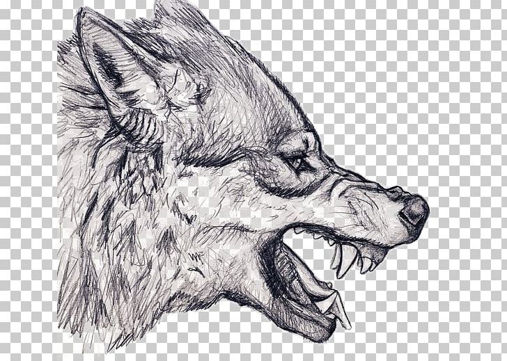 Gray Wolf Drawing Snarl Art Sketch PNG, Clipart, Animal, Animals, Arrow Sketch, Art, Artwork Free PNG Download