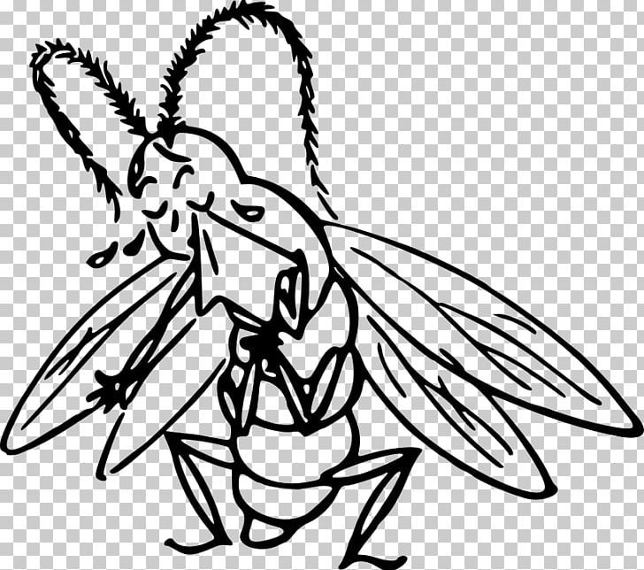 Insect Drawing PNG, Clipart, Animal, Animals, Animation, Art, Artwork Free PNG Download