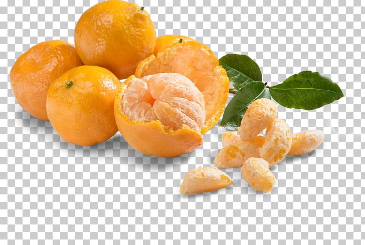 Clementine Tangerine Mandarin Orange تره بار اینترنتی سبزی من Food PNG, Clipart, Auglis, Bitter Orange, Citrus, Clementine, Diet Food Free PNG Download