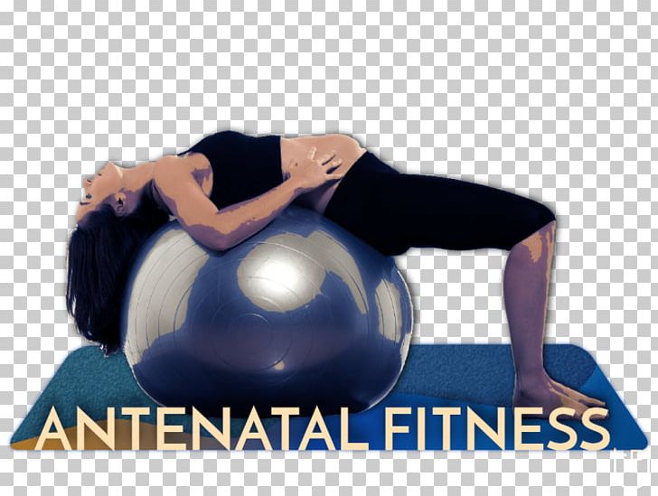 Fitolicious Pilates Exercise Balls PNG, Clipart, Abdomen, Arm, Balance, During, Exercise Free PNG Download