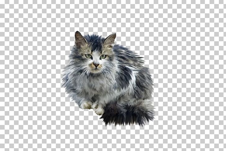 Norwegian Forest Cat Whiskers PNG, Clipart, Animal, Animals, Animation, Black Cat, Carnivoran Free PNG Download