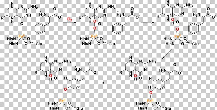 Phenylalanine Hydroxylase Hydroxylation Tyrosine Hydroxylase Hydroxylasen PNG, Clipart, Amino Acid, Angle, Area, Aromatic Amino Acid, Biochemistry Free PNG Download