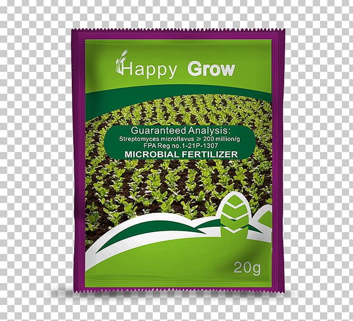 Superfood Brand Herb PNG, Clipart, Acidity Function, Brand, Grass, Herb, Herbal Free PNG Download