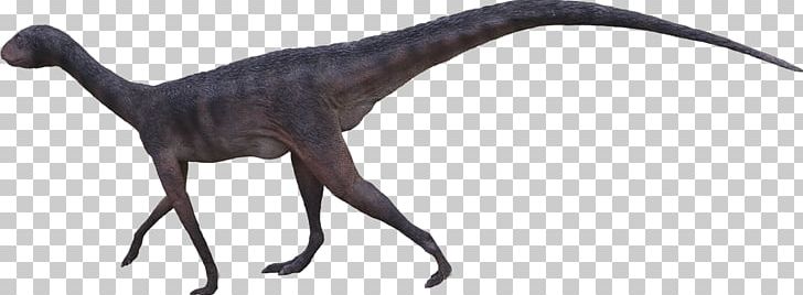 Velociraptor Animal PNG, Clipart, Animal, Animal Figure, Dinosaur, Terrestrial Animal, Velociraptor Free PNG Download