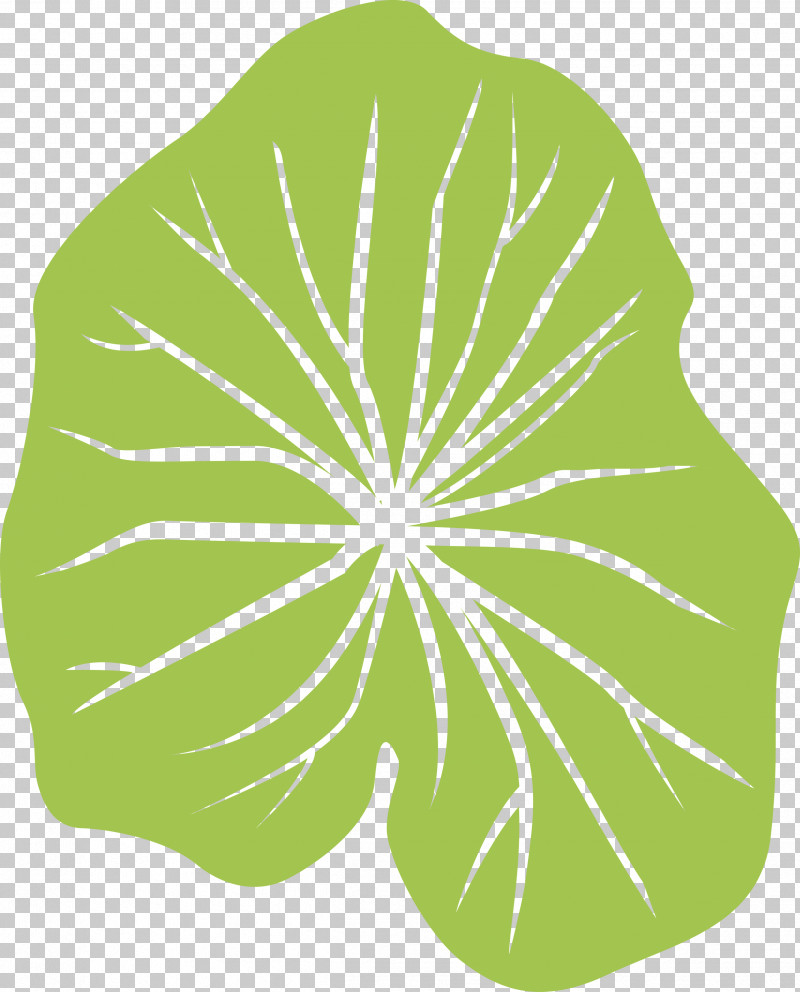 Leaf PNG, Clipart, Biology, Flower, Fruit, Green, Leaf Free PNG Download