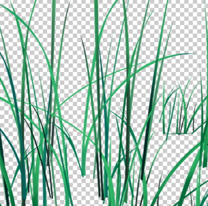 Leaf Cartoon Grass Plant Stem PNG, Clipart, Artificial Grass, Cartoon Grass, Computer Graphics, Creative Grass, Download Free PNG Download