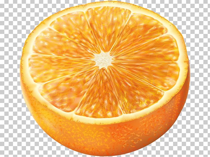 Tangerine Grapefruit Mandarin Orange PNG, Clipart, Bitter Orange, Citric Acid, Citrus, Clementine, Computer Software Free PNG Download