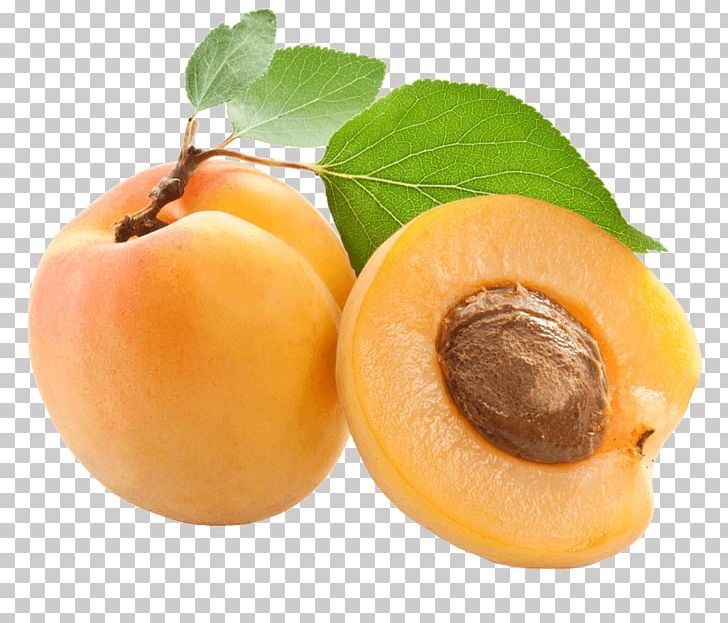 Apricot Kernel Apricot Oil Amygdalin PNG, Clipart, Amygdalin, Amygdaloideae, Apple Cider Vinegar, Apricot, Apricot Kernel Free PNG Download