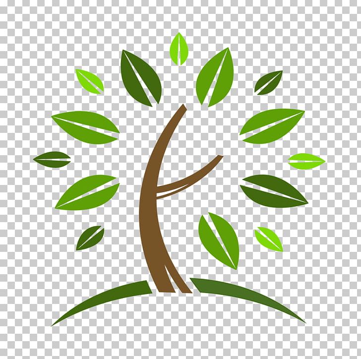 Homeopathy Logo Physician Business Health PNG, Clipart, Alternative Health Services, Branch, Business, Child, Flora Free PNG Download