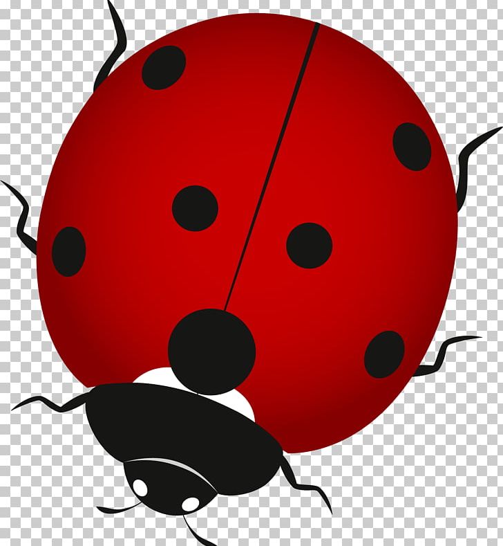 Ladybird Insect PNG, Clipart, Beetle, Cartoon, Designer, Dot, Gules Free PNG Download