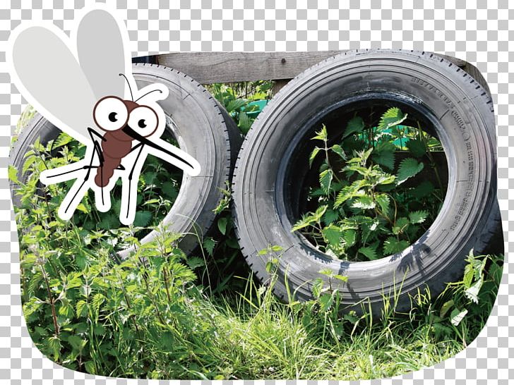Tire Stock Photography PNG, Clipart, Anti Mosquito, Automotive Tire, Automotive Wheel System, Fence, Flora Free PNG Download