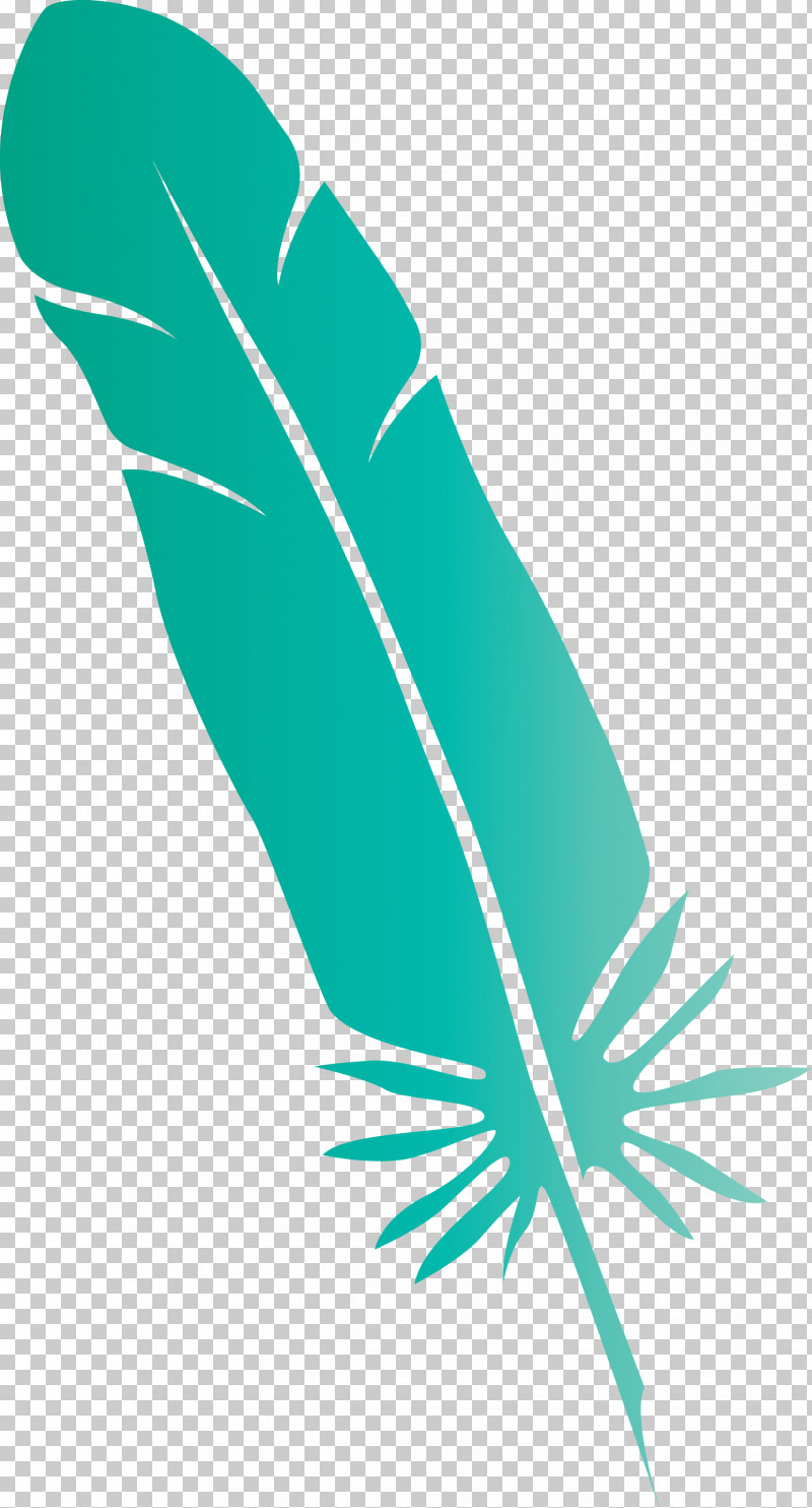 Feather PNG, Clipart, Biology, Feather, Green, Leaf, Line Free PNG Download